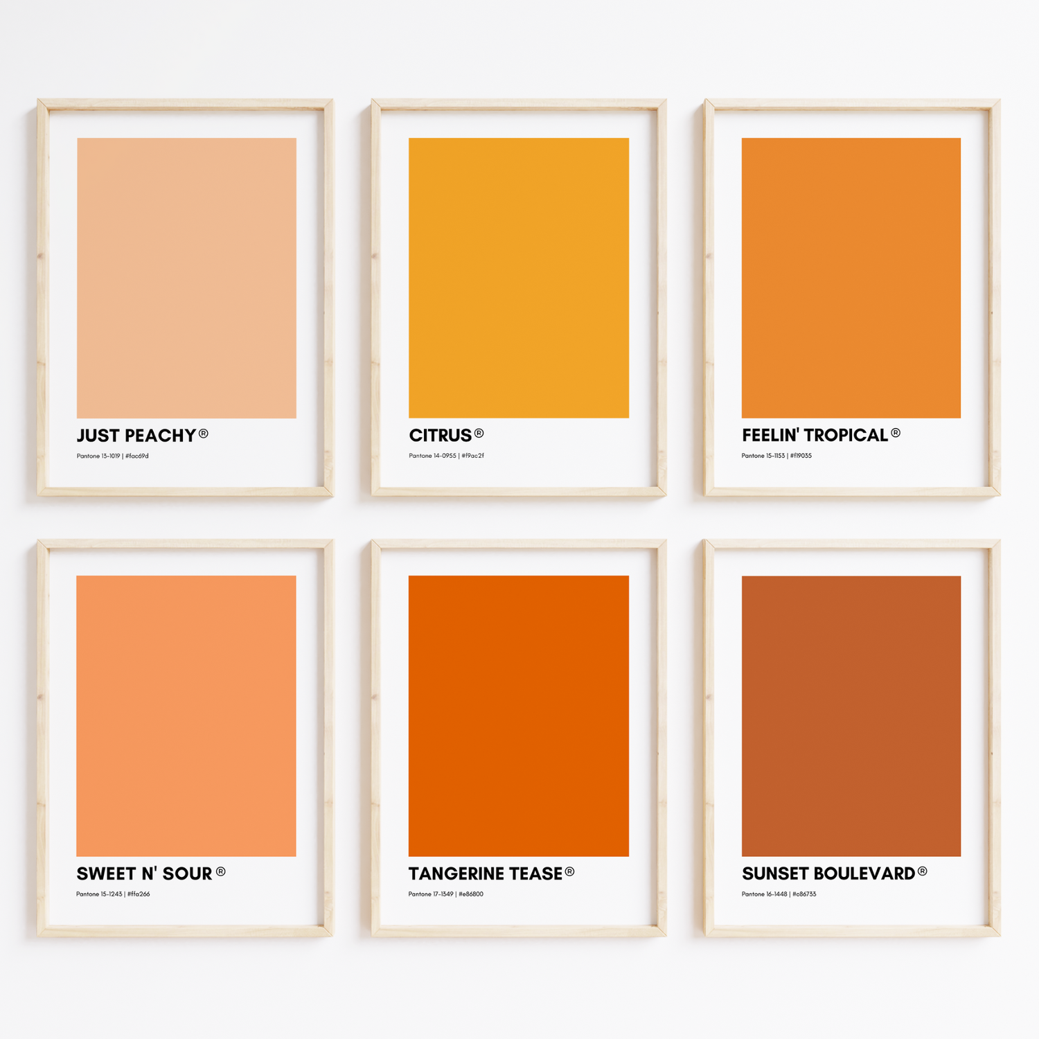 Orange Pantone Collection