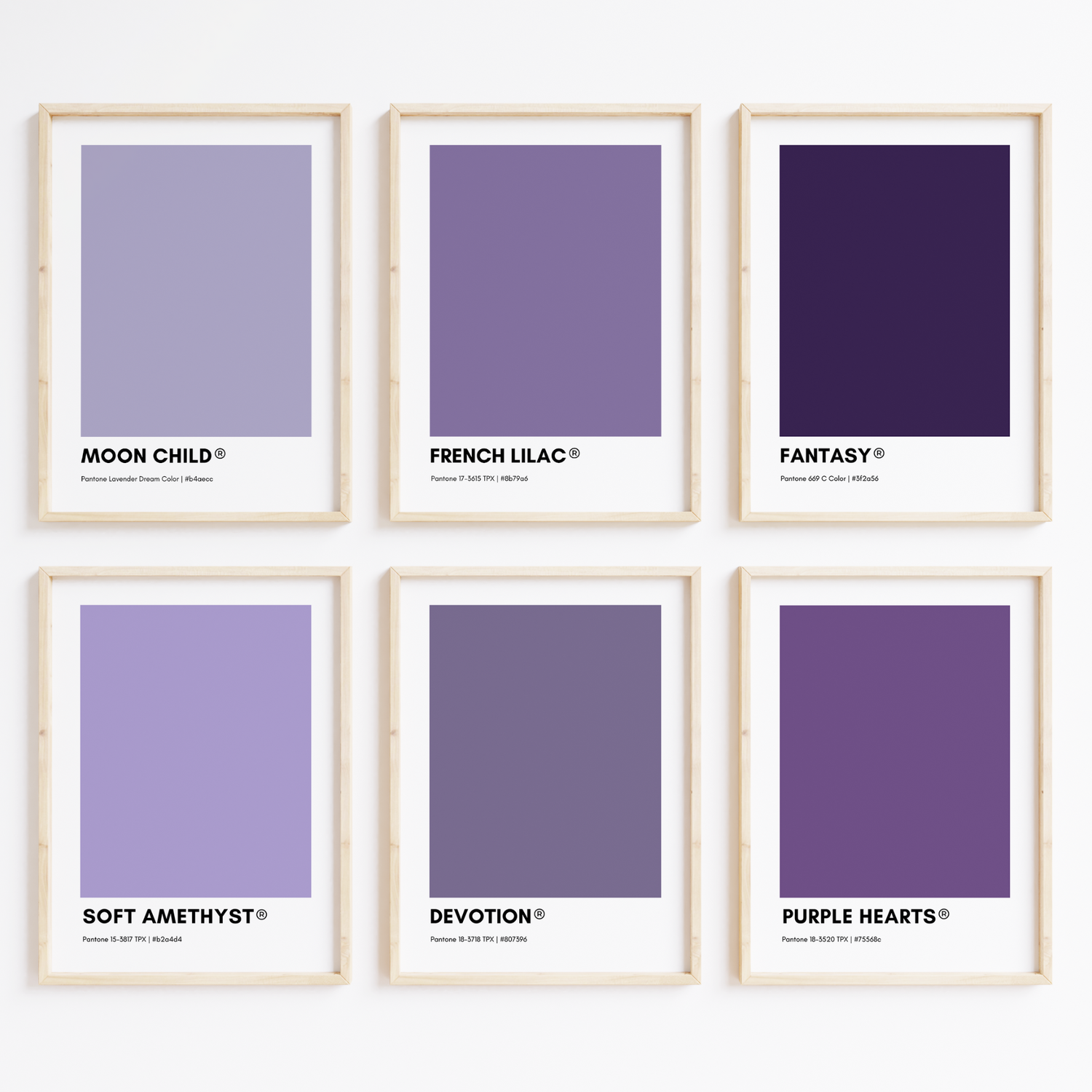 Purple Pantone Collection