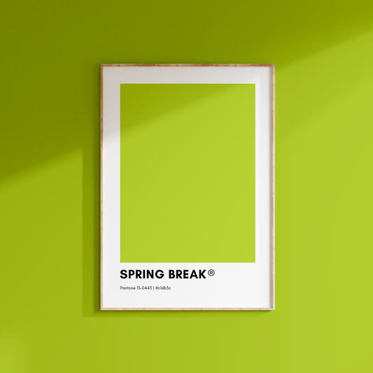 Spring Break Print Poster