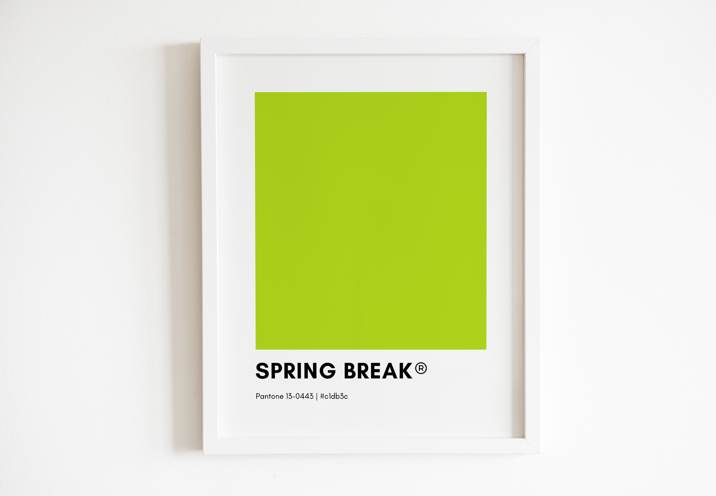 Spring Pantone Collection